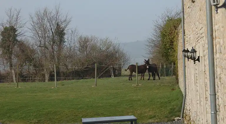 Farm house in Bayeux