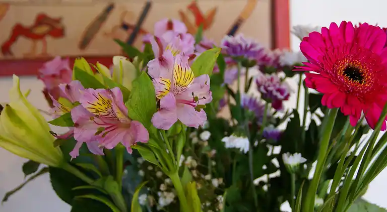 Farm house in Bayeux
