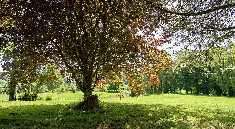 Hytte i Arnac-Pompadour