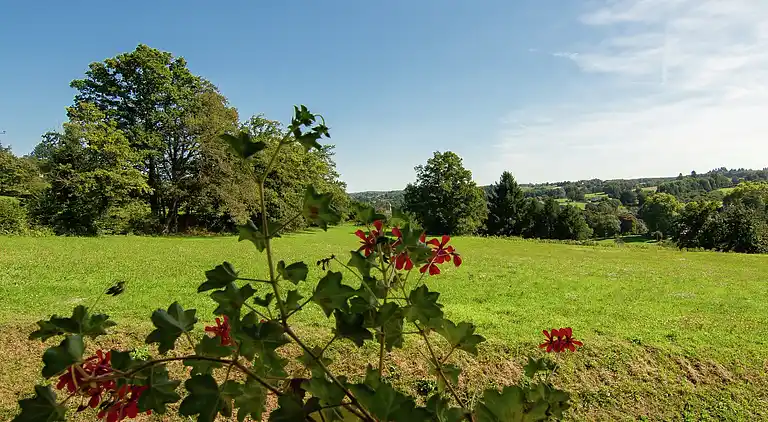 Hytte i Arnac-Pompadour