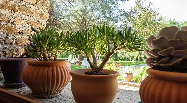 Hytte i Arnac-Pompadour