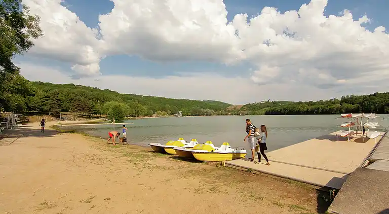 Cottage in Chartrier-Ferrière
