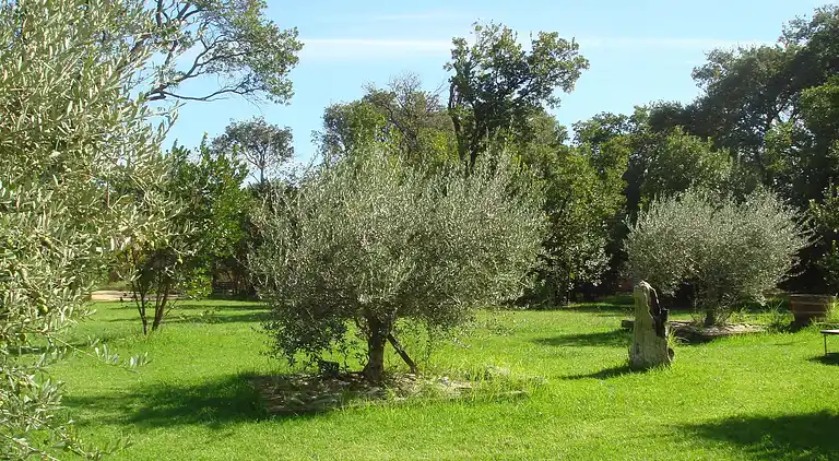 Holiday home in Chiatra