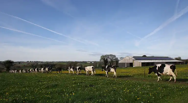 Holiday home in Le Moustoir