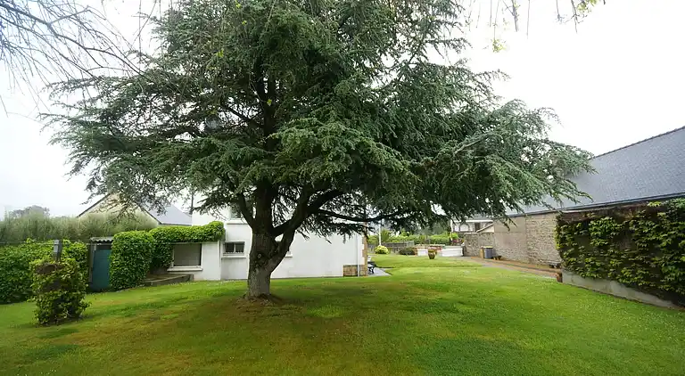 Vakantiehuis in Lanmodez