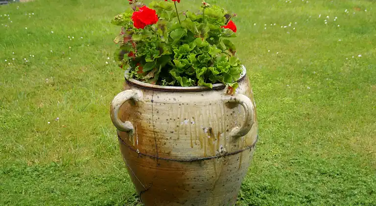 Vakantiehuis in Lanmodez