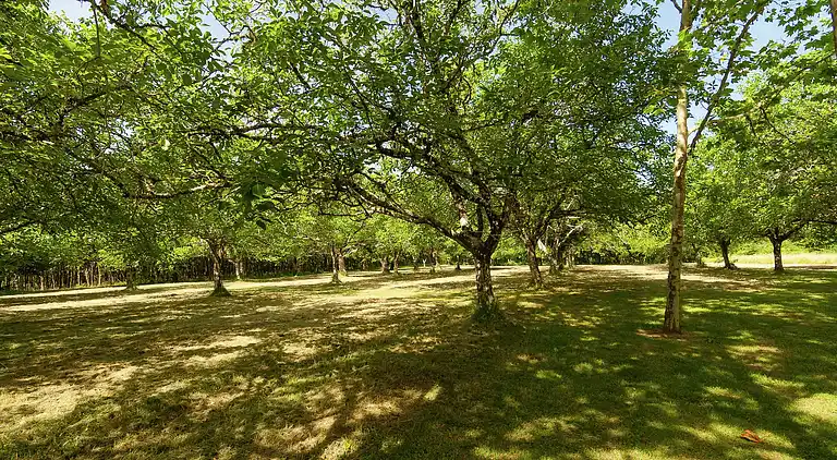 Herregård i Sydfrankrig
