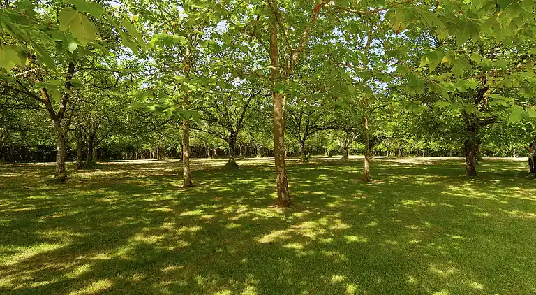 Herregård i Sydfrankrig