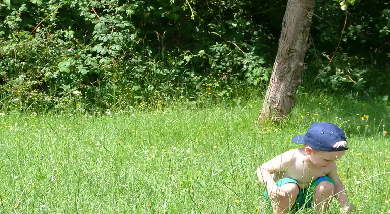 Vakantiehuis in Brouchaud