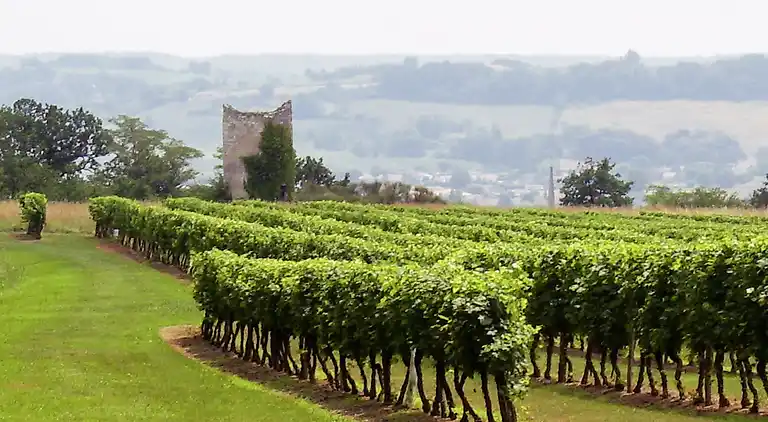 Feriebolig i Monestier