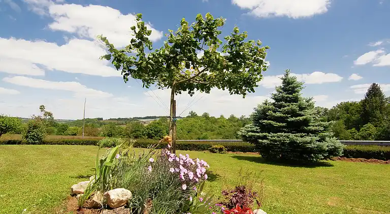 Semesterbostad i Dussac