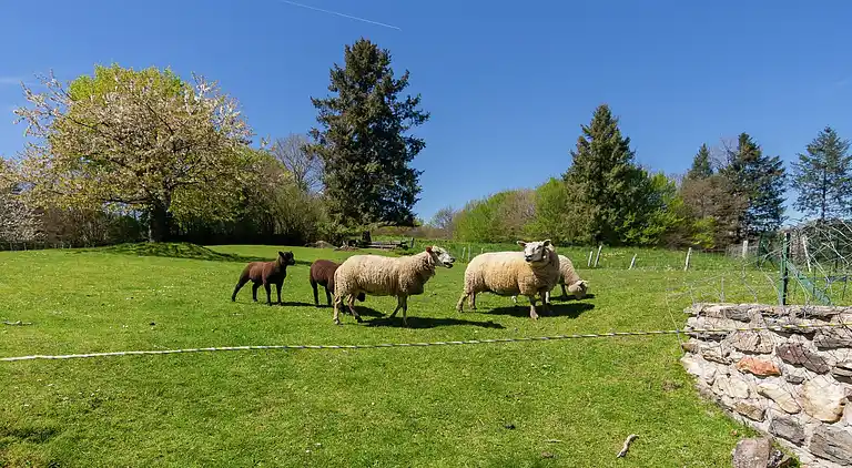 Semesterbostad i Dussac