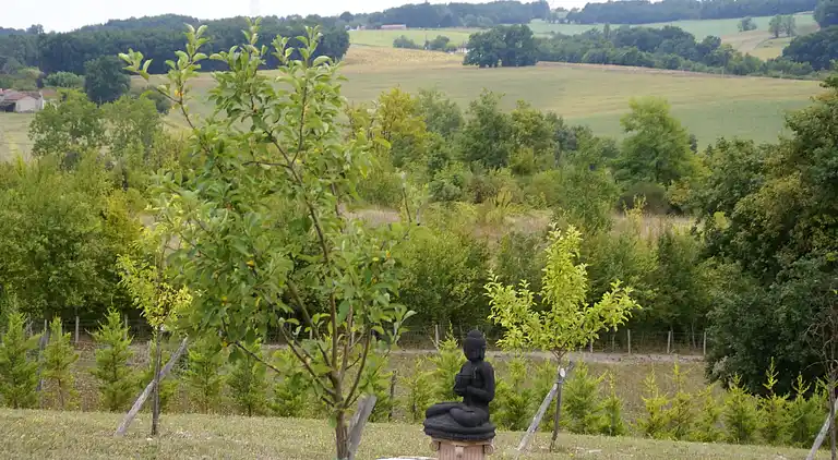 Ferienhaus in Verteillac