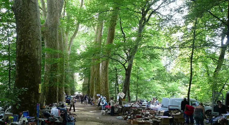 Holiday home in Escoire