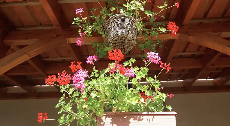 Holiday home in Escoire