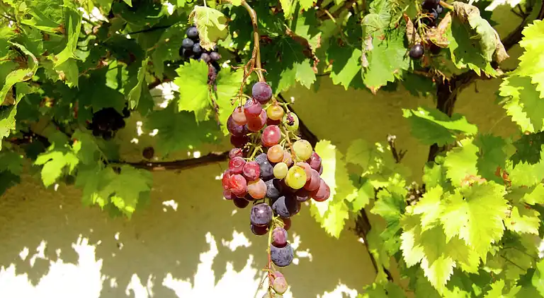 Holiday home in Escoire