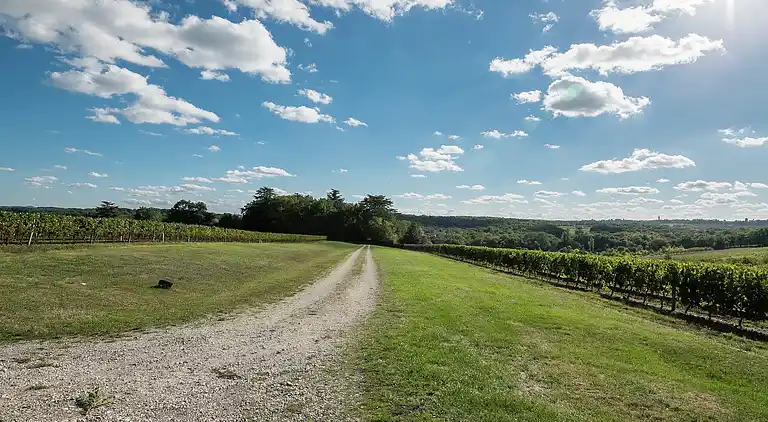 Holiday home in Cours-de-Pile