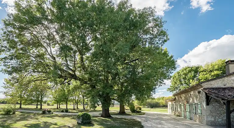 Holiday home in Cours-de-Pile