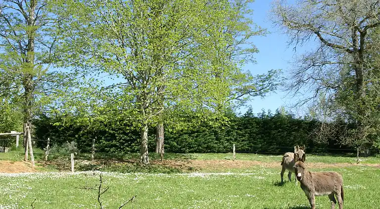 Holiday home in Cours-de-Pile