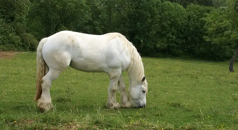 Casa de vacaciones en Saint-Pompont