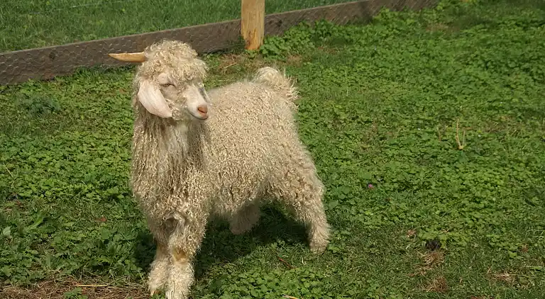 Holiday home in Availles-Limouzine