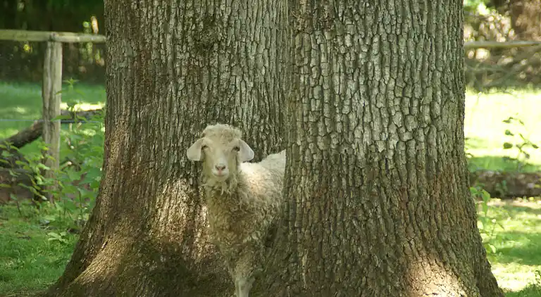 Holiday home in Availles-Limouzine