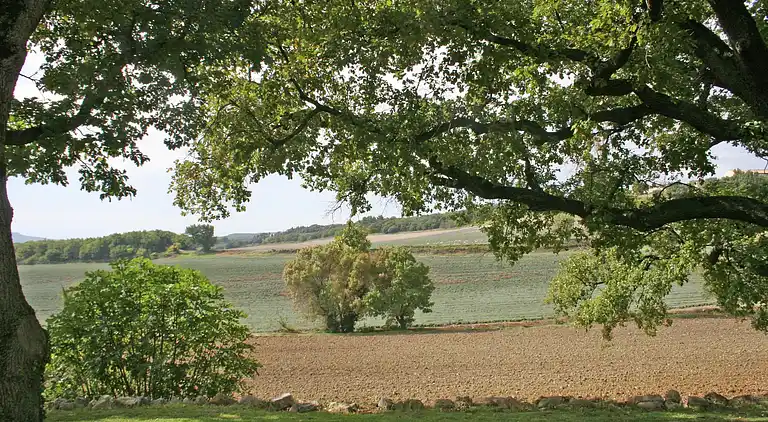 Herregård i Roussas