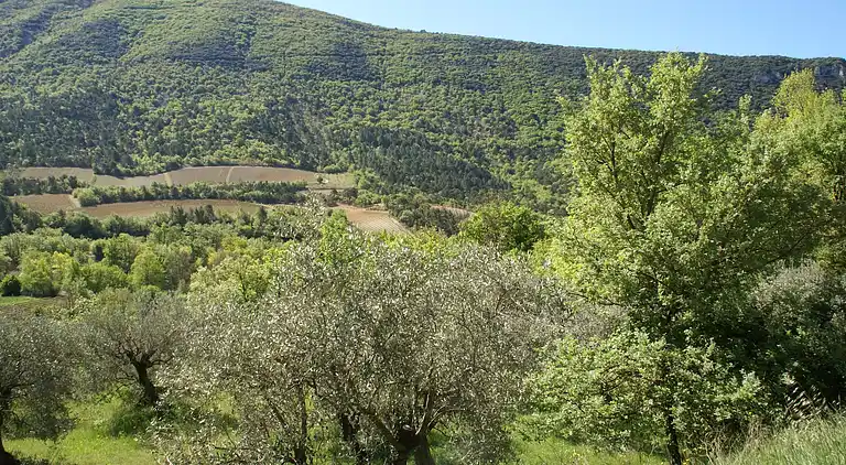 Holiday home in Bourdeaux