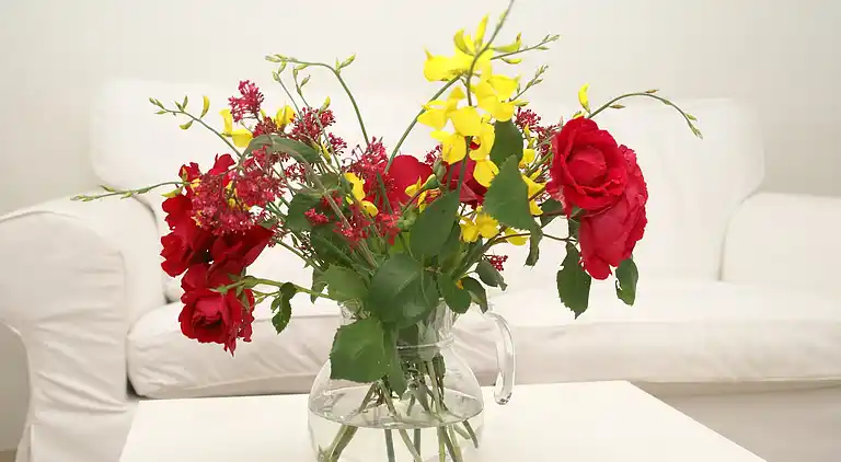 Ferielejlighed i Ferrassières