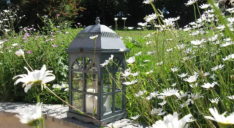 Holiday home in Dampsmesnil