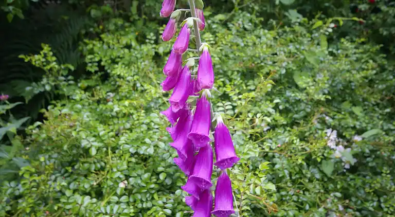 Holiday home in Querrien