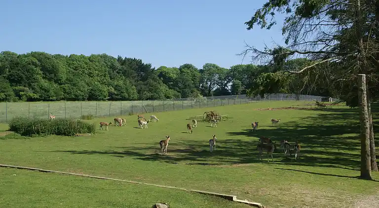 Holiday home in Clohars-Carnoët