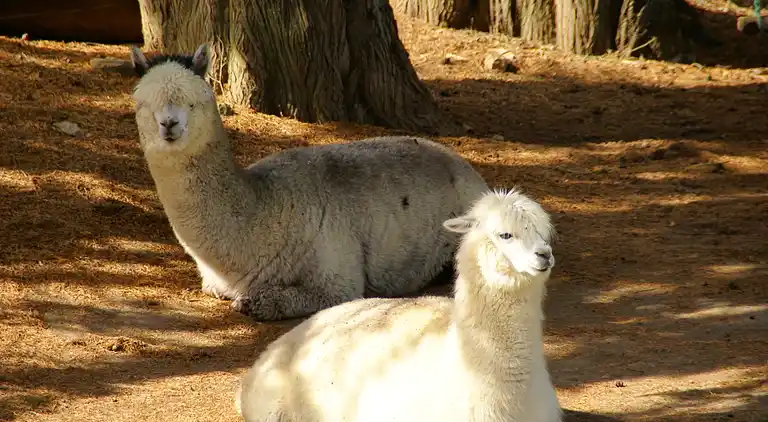Holiday home in Clohars-Carnoët