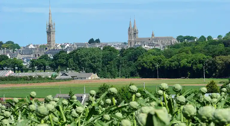 Villa in Plounéour-Trez