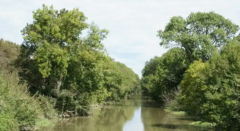 Villa in Saint-Laurent-d'Aigouze
