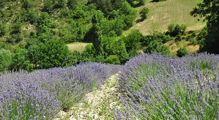 Villa i Vézénobres