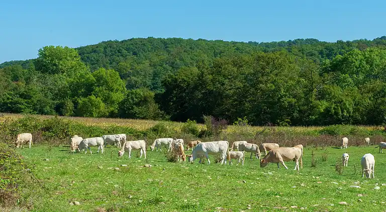 Villa i Boulogne-sur-Gesse