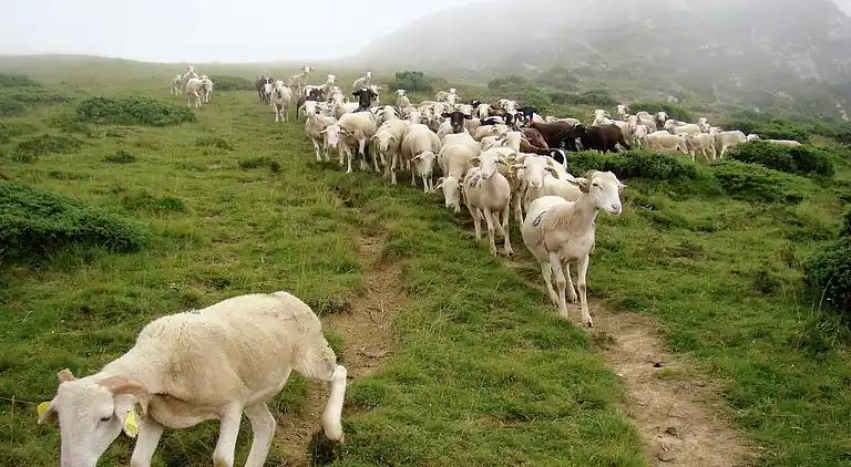 Villa i Boulogne-sur-Gesse