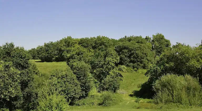 Villa in Lias-d'Armagnac