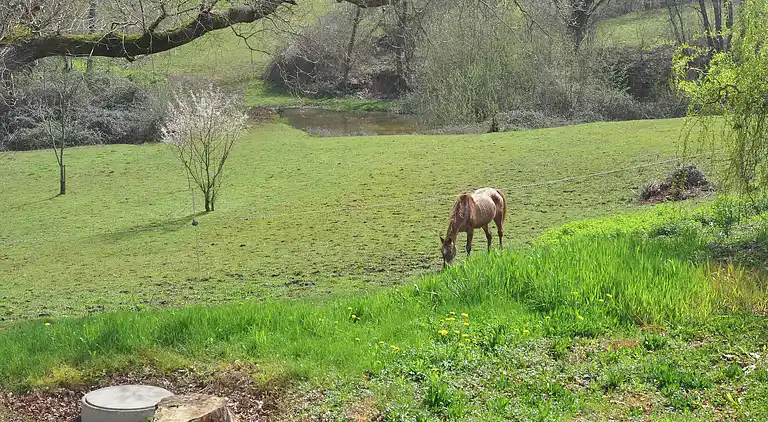 Villa in Lias-d'Armagnac
