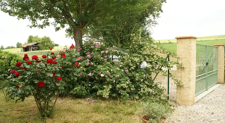 Holiday home in Mirande