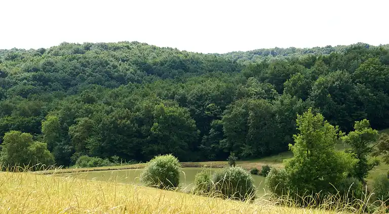 Villa en Montesquiou