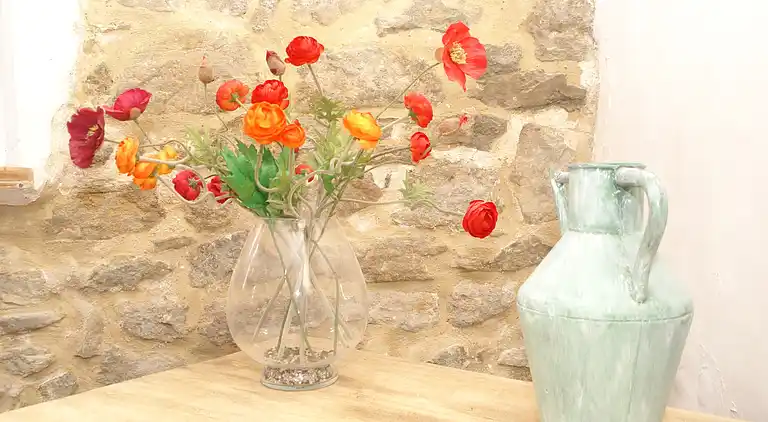 Casa vacanze in Occitania