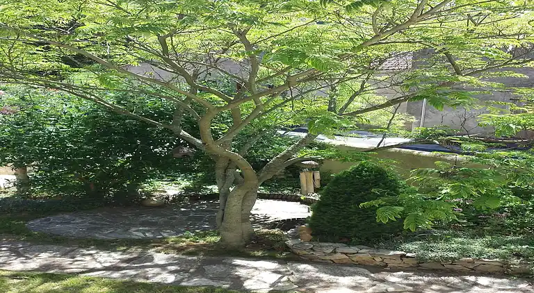 Villa in Verreries-de-Moussans