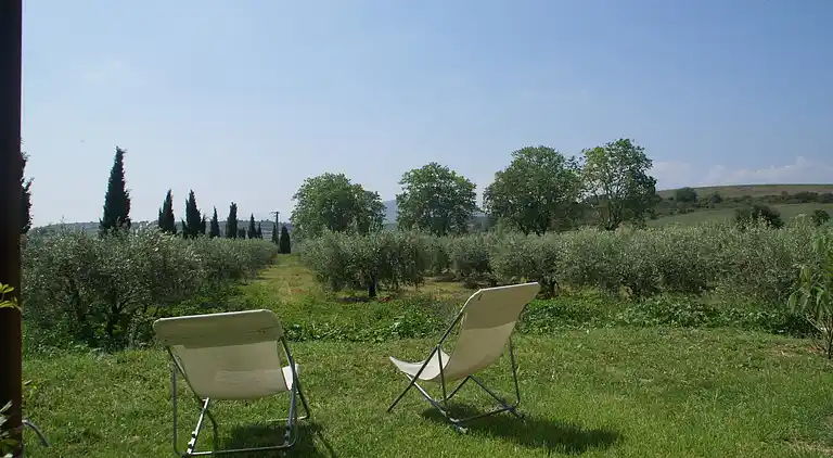 Holiday home in Occitanie