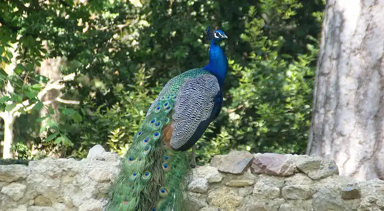 Holiday home in Occitanie