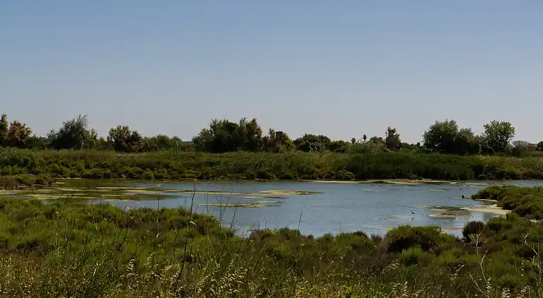 Holiday home in Fabrègues