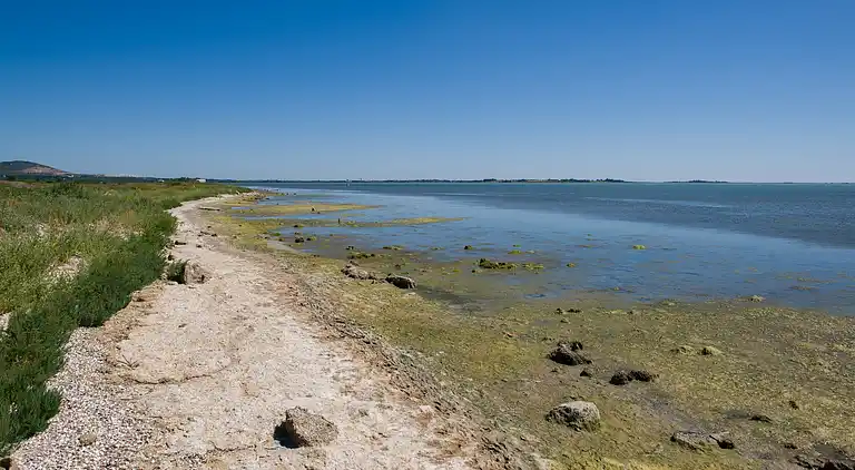 Holiday home in Fabrègues