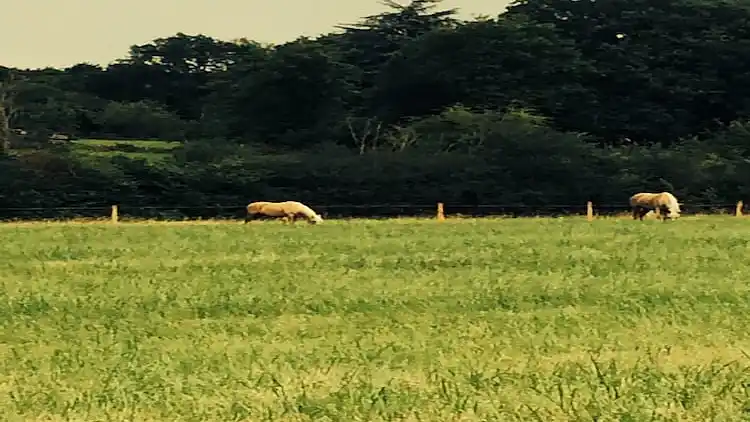 Farm house in Le Blanc