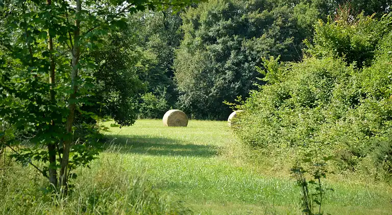 Farm house in Le Blanc